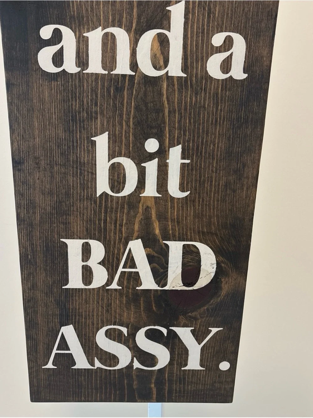 LARGE Stay Classy Sassy Wooden Wall Sign - White on Dark Brown